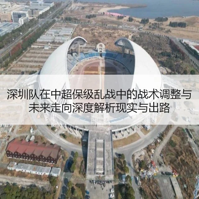 深圳队在中超保级乱战中的战术调整与未来走向深度解析现实与出路